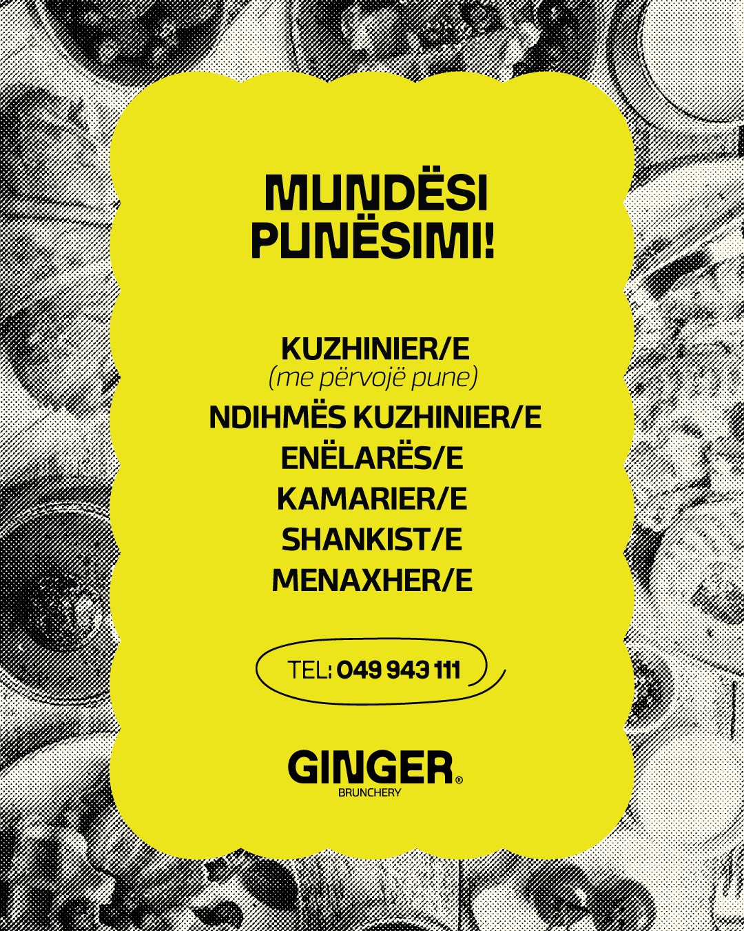 Kuzhinier/e, Ndihmës Kuzhinier/e, Enëlarës/e, Kamarier/e, Shankist/e, Menaxhder/e
